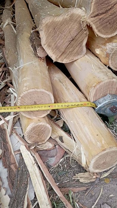 Stalpi Salcam pentru balansoar