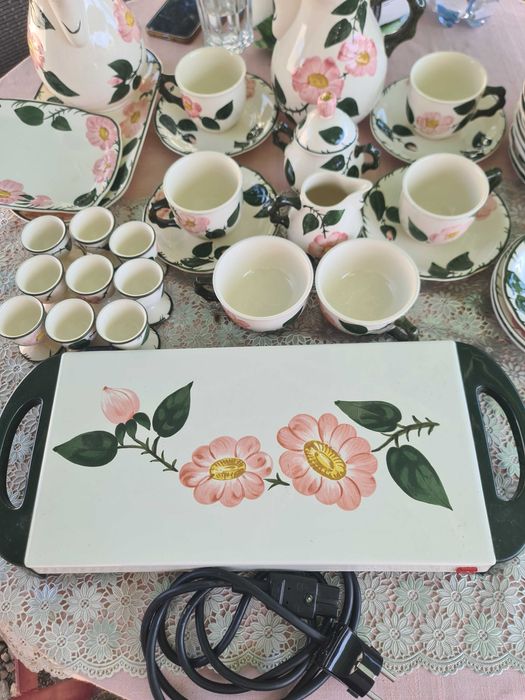 Wild-Rose  si Vileroy&Boch pictate de mana 41 de piese +plita electric