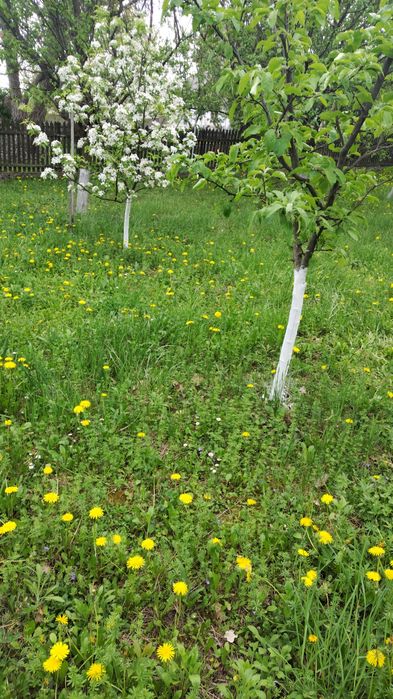 Vand casa batraneasca