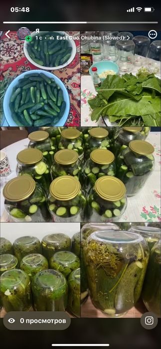 Закатка саленых огурцов