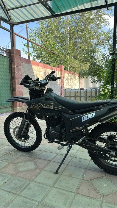 Мотоциклы эндура MMZ 008