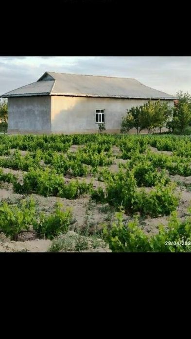 uy joy sotiladi 50 sotix 320 000$ kelishamjz