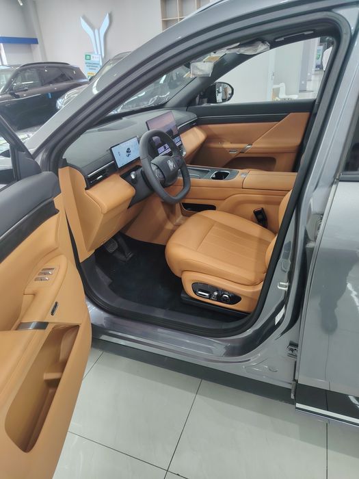 DONGFENG 008 MAX gibrid 202km 2025yil