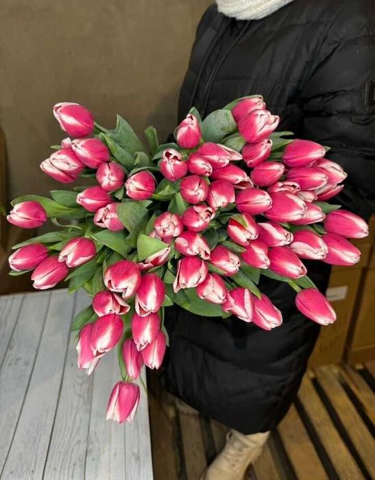 Тюльпаны оптом Астана к 8 марта 2026