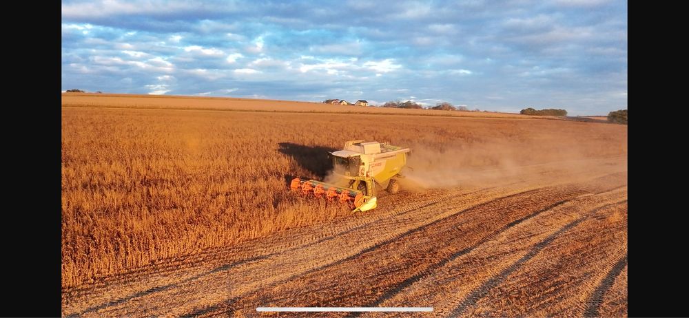 Dji neo fly more combo