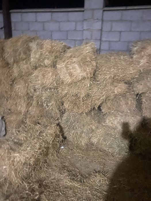 Продам, прес 15 калды  !