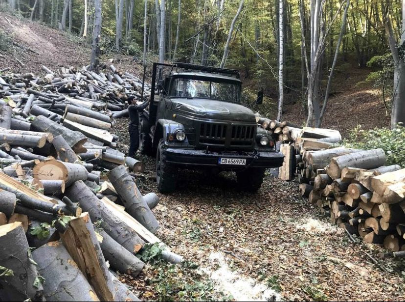 Дърва за огрев. Дъб и бук метровки