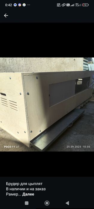 Брудер для цыплят