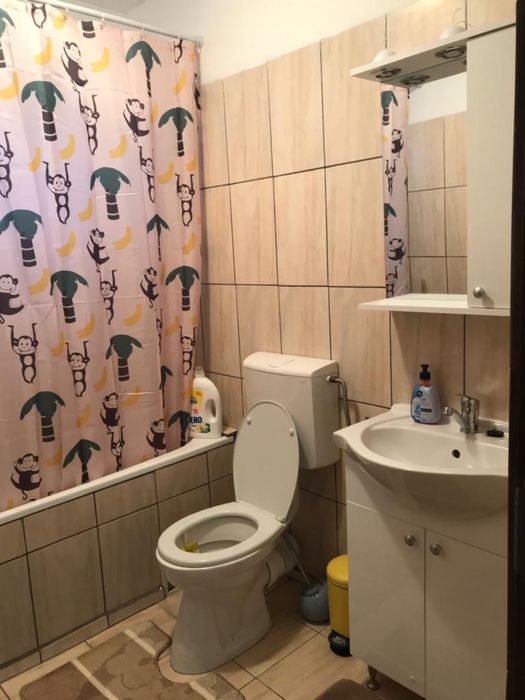 Inchiriez apartament cu 2 camere in Craiovita Noua