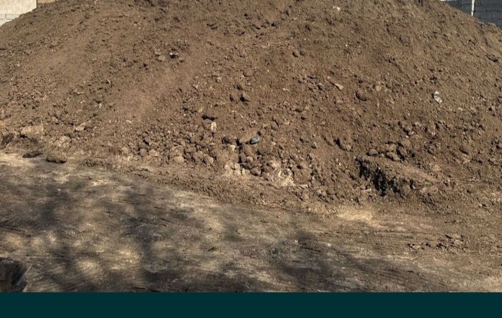 Көң сатылады 18  000