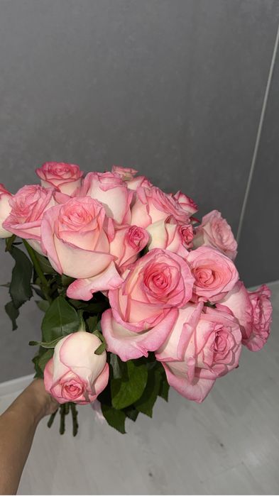 Розы свежые 17 шт