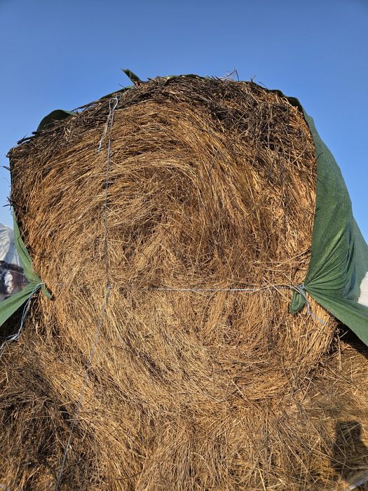 Baloti de fan si de paie 120×120