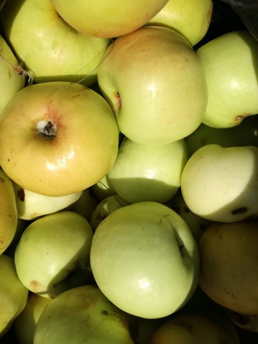 Продам дачу в ДО " Автомобилист"