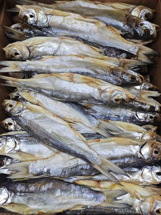 Вяленая рыба (атырау)