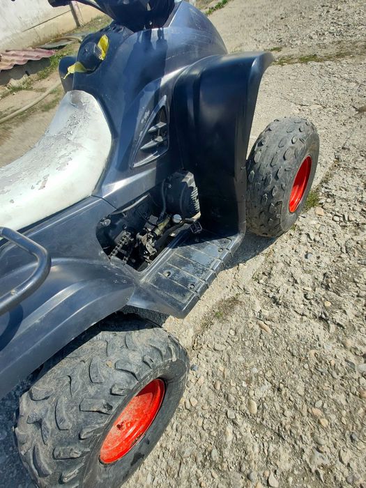 Vând Dinli masai 150CM