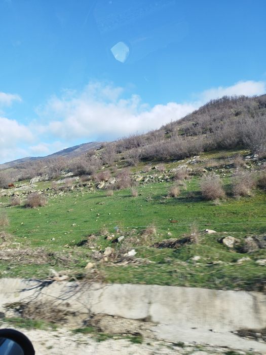 Дава се под наем Парцел в с. Кошарица, Област Бургас - 10500 кв.м за 25.5 € - Снимка #2