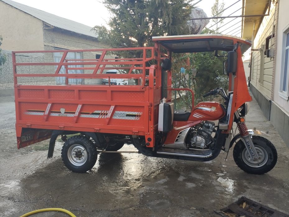 Cavalo matatsikil