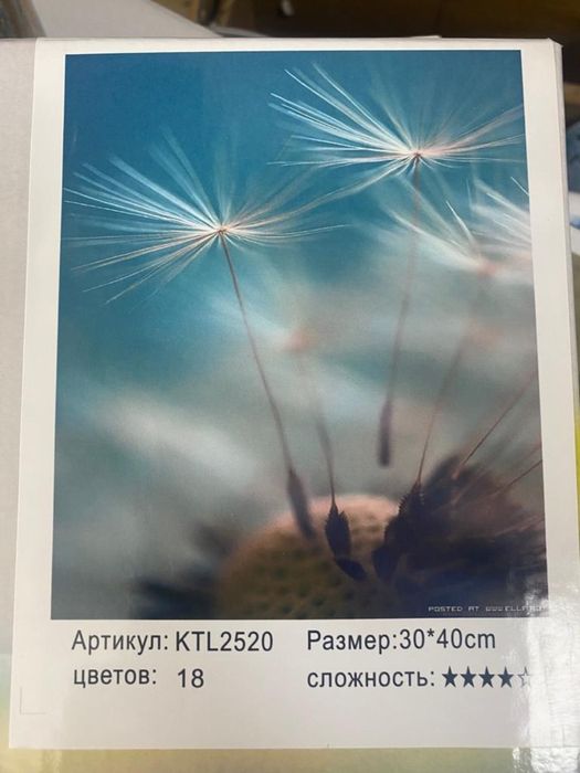 Картинка по номерам