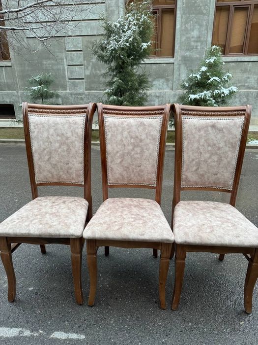 Prakat stol stul 24/7  zontik Naves shirma samavar Аренда