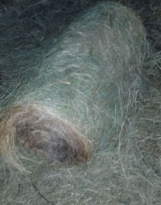 Vând Baloți de fân