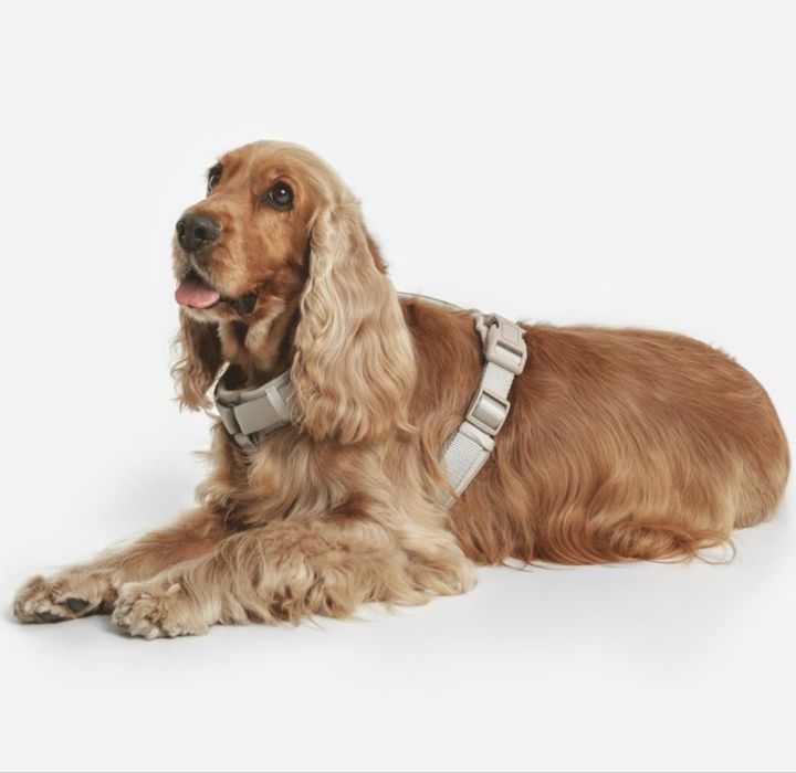 НОВ С ЕТИКЕТ Нагръдник за куче до 10кг подплатен Nomad Tales размер S