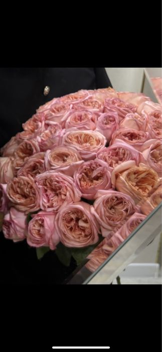 Пионовидный роза