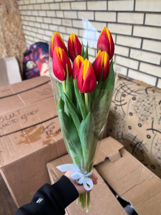 Тюльпаны из Беларуси оптом