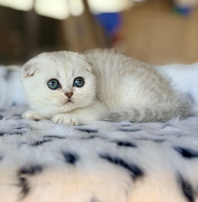 Малыши с документами