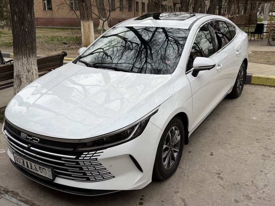 Byd chazor 2024 55