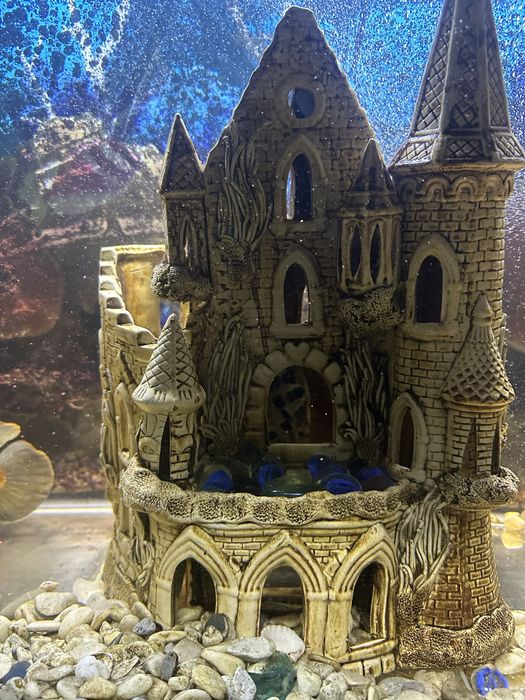 Продам красивый аквариум