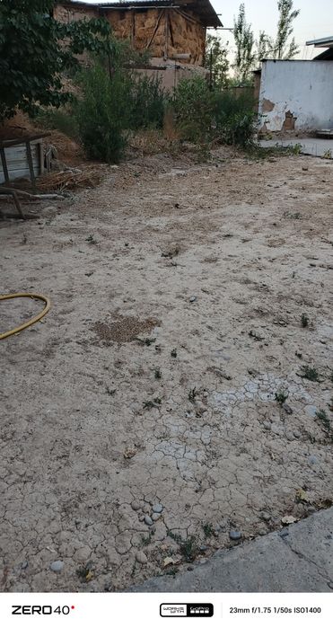 Keb korila yahwi joyla qishlogimz