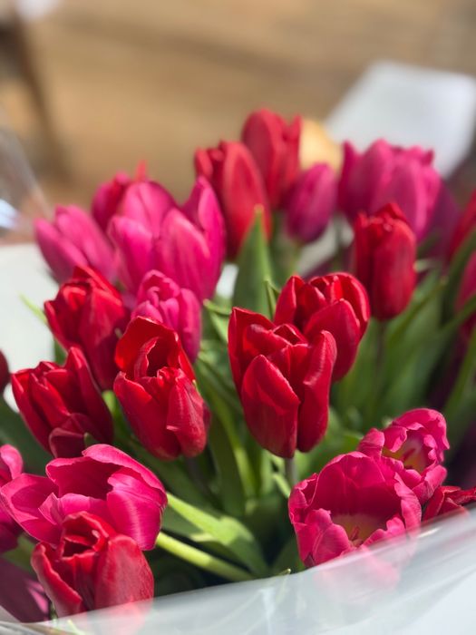 Продам Цветы тюльпаны