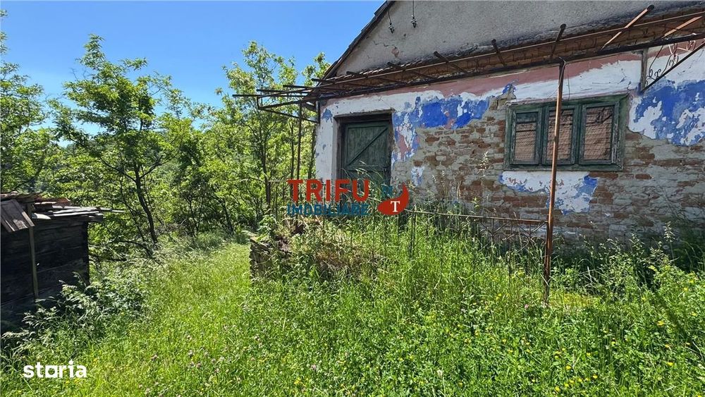 Casa de vanzare in Inuri comuna Vintu de Jos