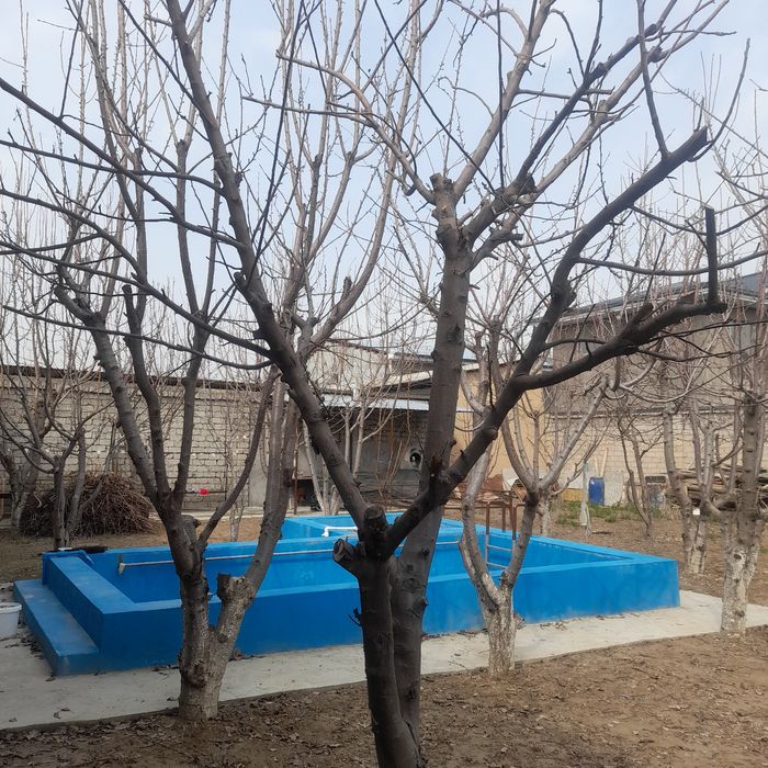 Услуги. Богбонлик ишларини киламиз. Садовник, Дворник, Уборка территор