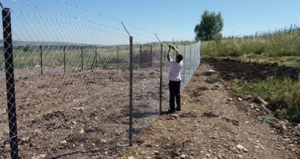 Vand garduri din plasa bordurata