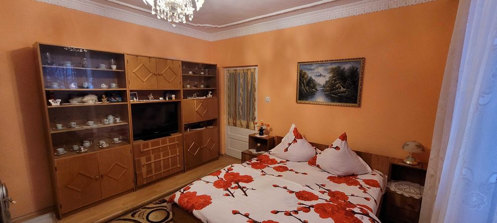 Vila Telec - Bicazu Ardelean - Regim Hotelier