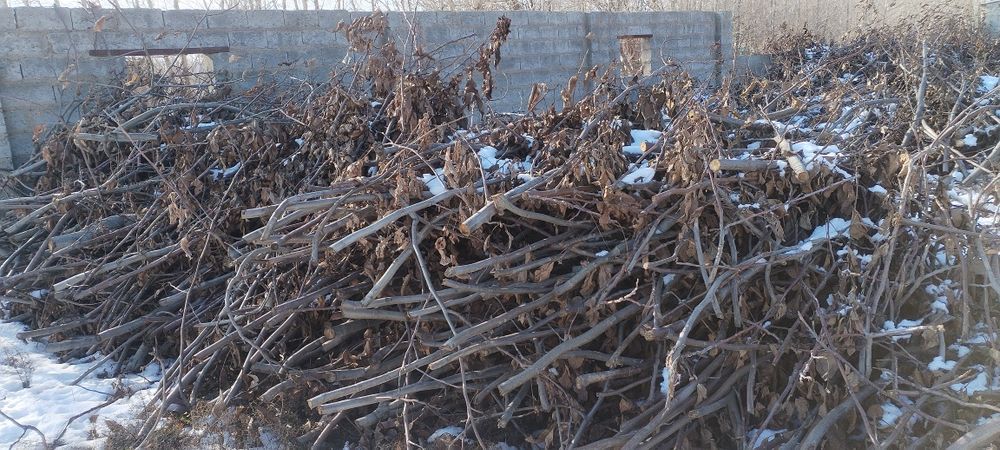 утин вассалик йогоч