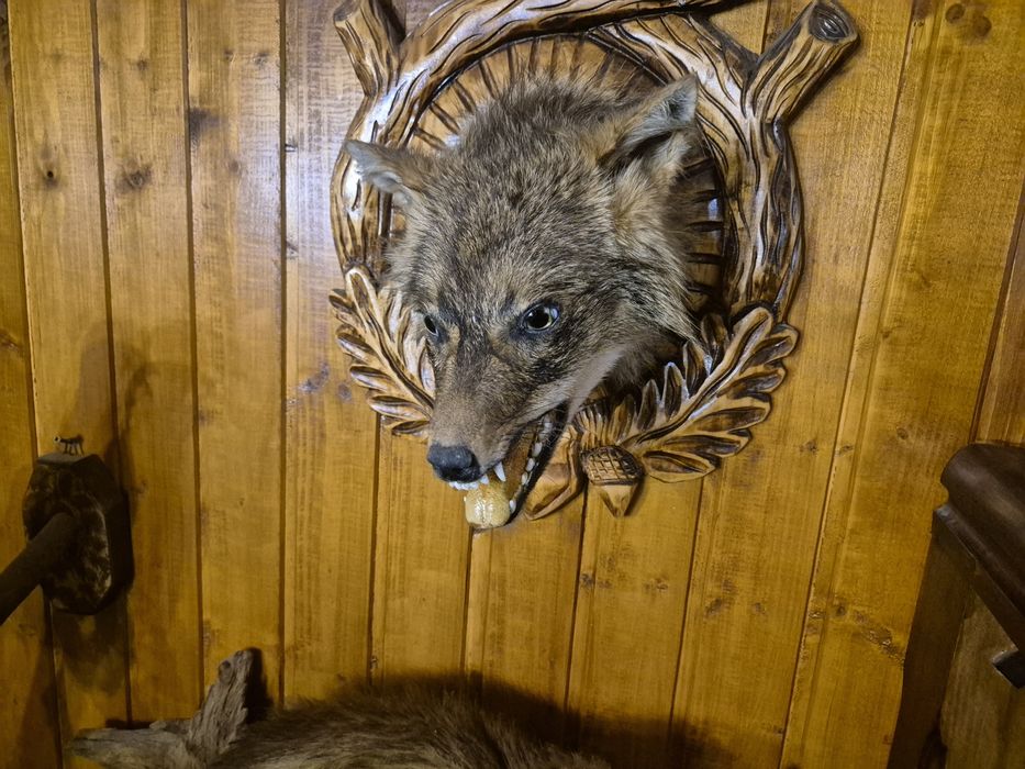 Trofeu Jder si Sacal