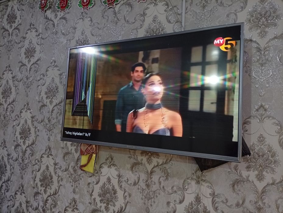 43 талик шивакки