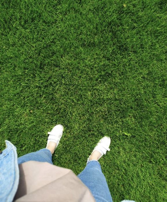 Стильный газон под ключ