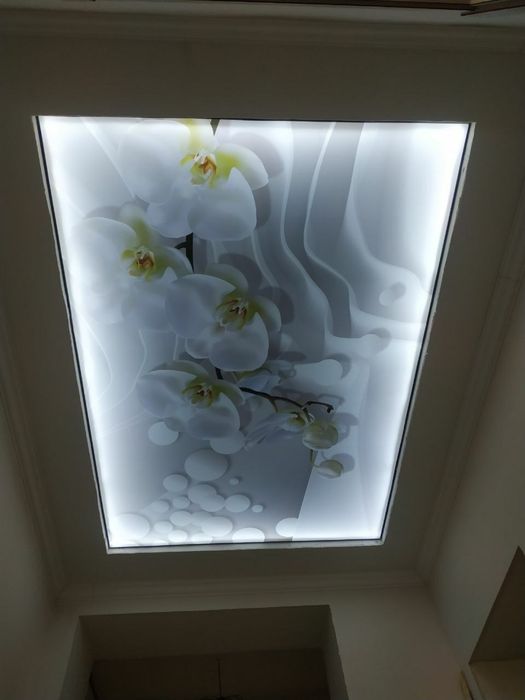 Natijnoy patalok Andijon boylab arzon va sifatlik qilib beramiz