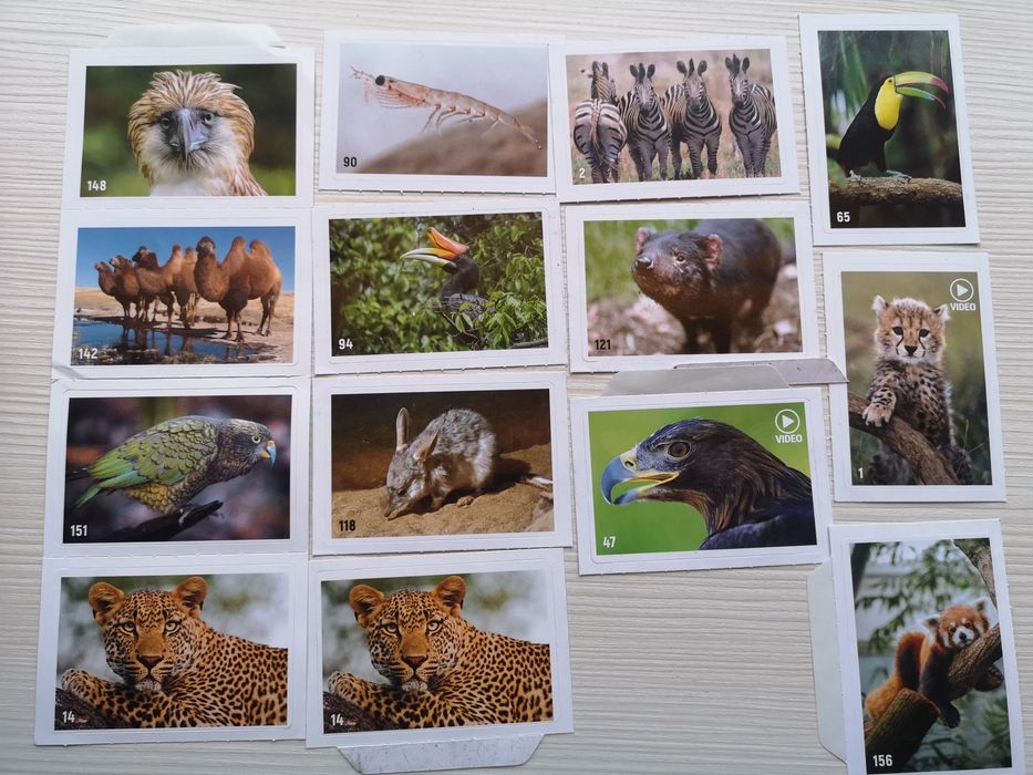 Стикери за Billa албум Animal planet