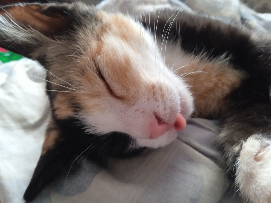 Розыск помогите найти