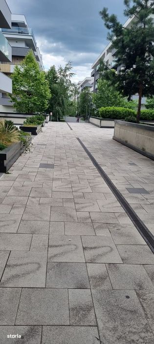 Apartament Luminia