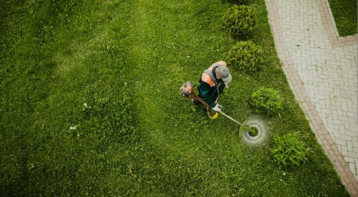 Taiat tuns  Iarba Defrișari Gradinarit Mentenanta Spatii Verzi