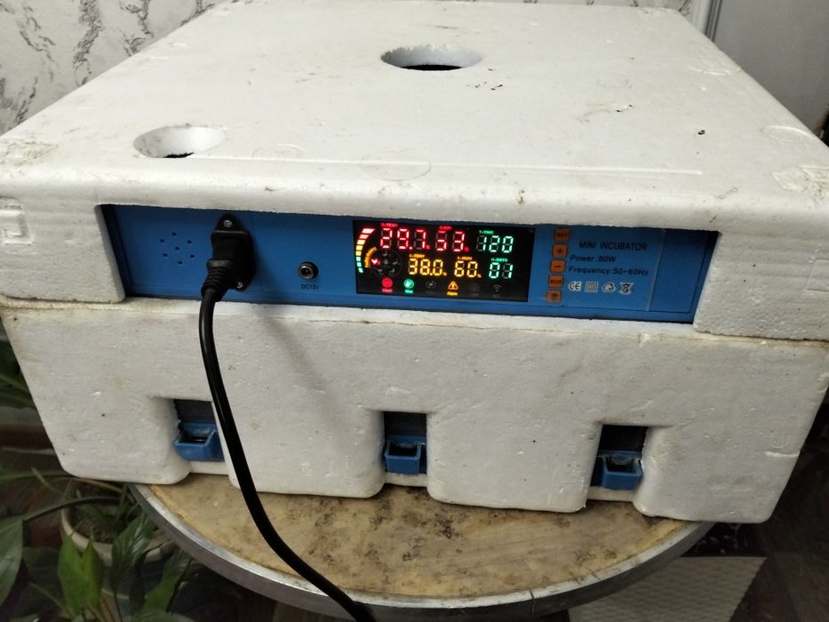 Инкубатор 64 жұмыртқа