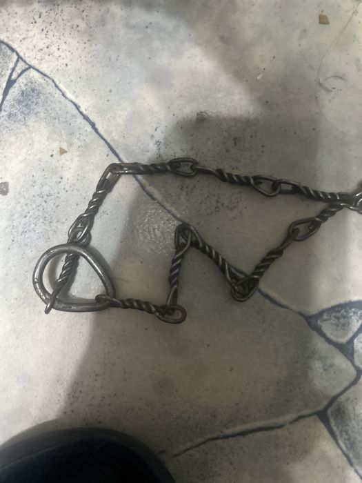 Строгий ошейник для собаки