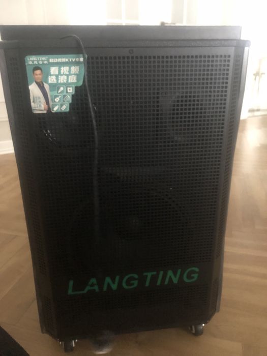 Караоке микрафонмен бірге