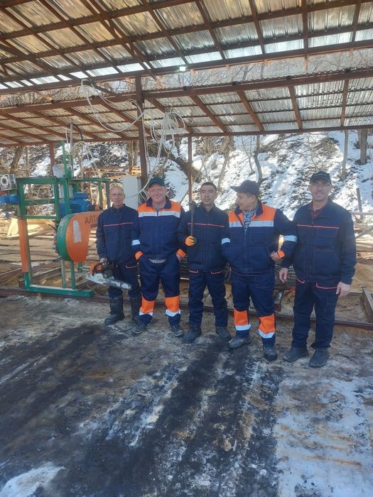 Распил древесины