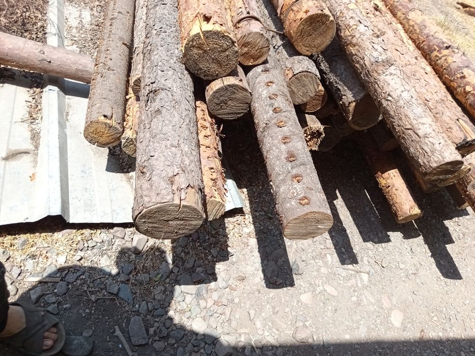 Лес кругляк сосна ,доски до 3 метров